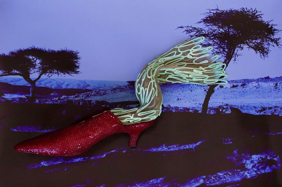 Hedonist Mag Issue 15