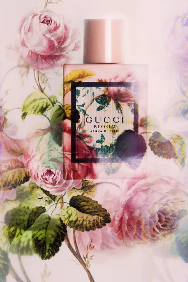 Flowers for my Darling