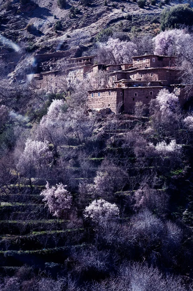 Beyond Reality there is perfection.