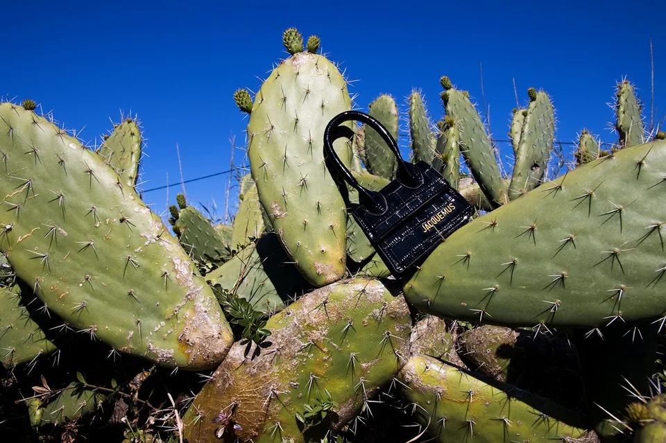 Postcards from Portugal